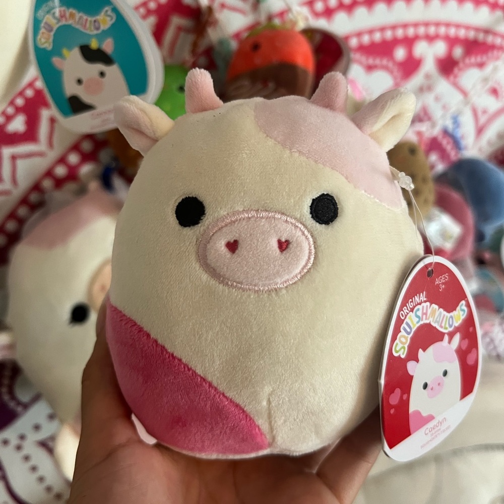 Caedyn squishmallow